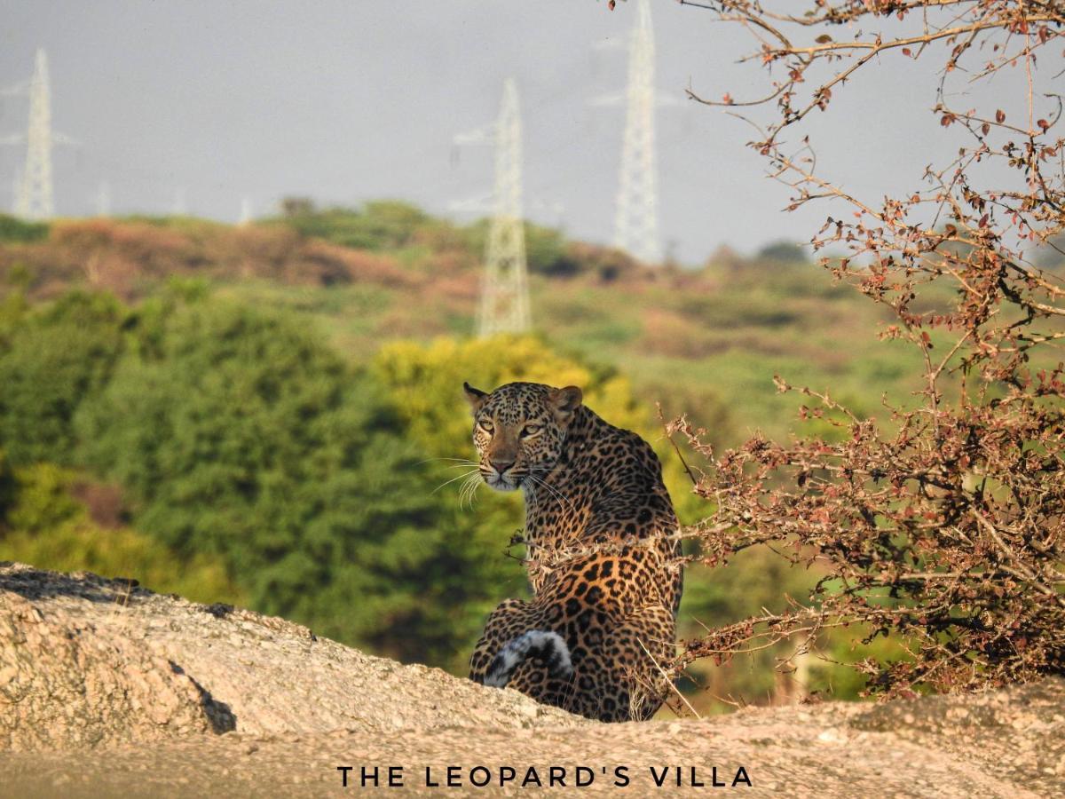 Jawai Leopard Villa Bijapur  外观 照片