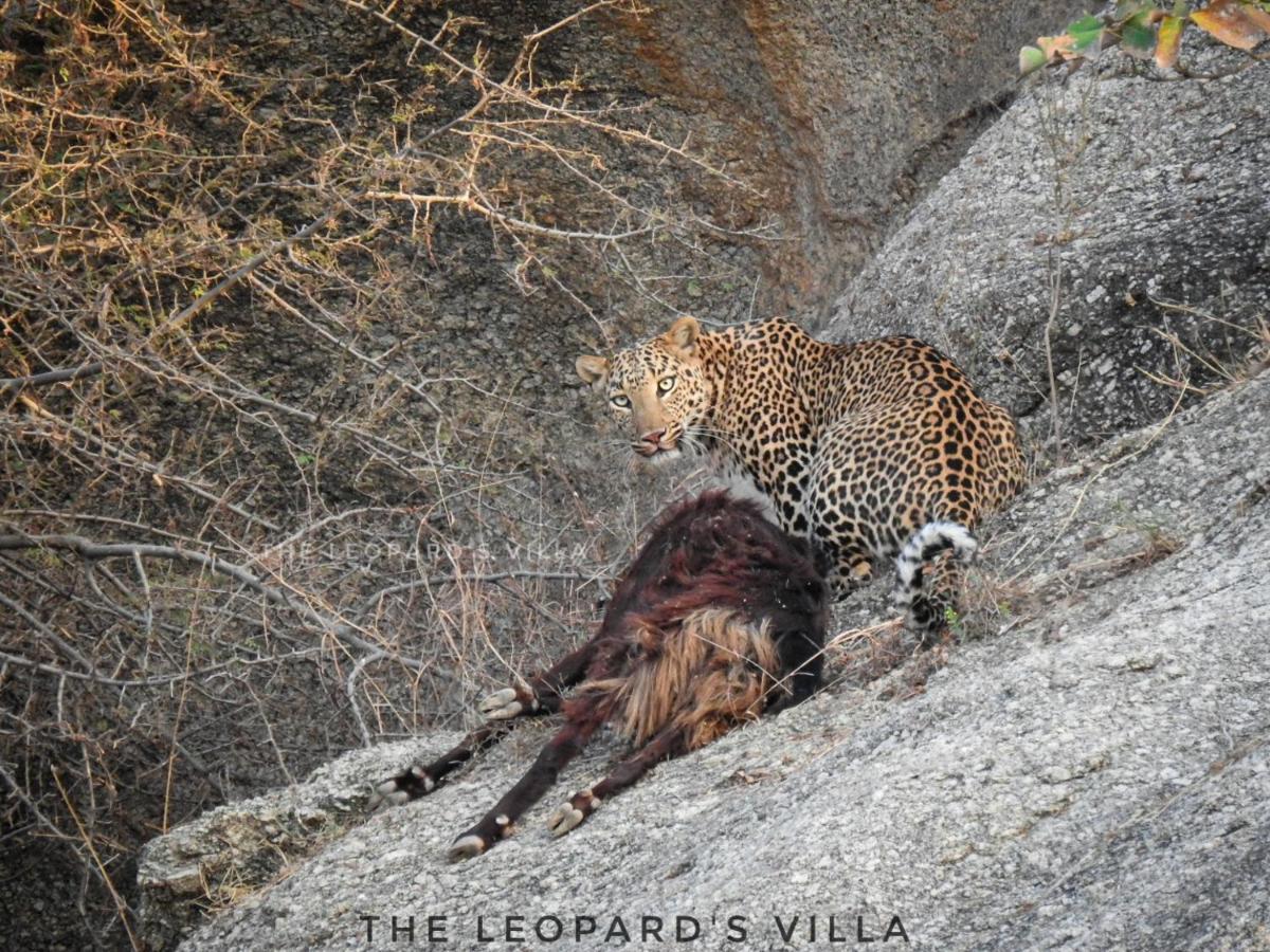 Jawai Leopard Villa Bijapur  外观 照片