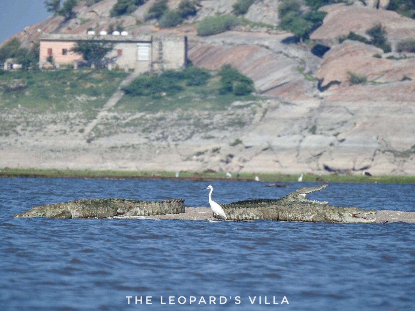 Jawai Leopard Villa Bijapur  外观 照片