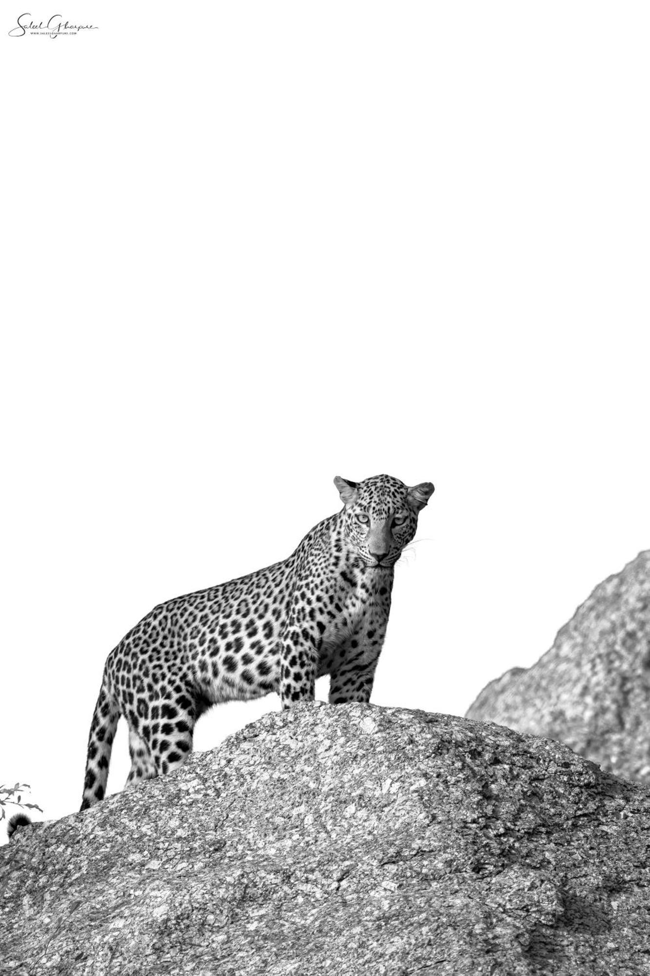 Jawai Leopard Villa Bijapur  外观 照片